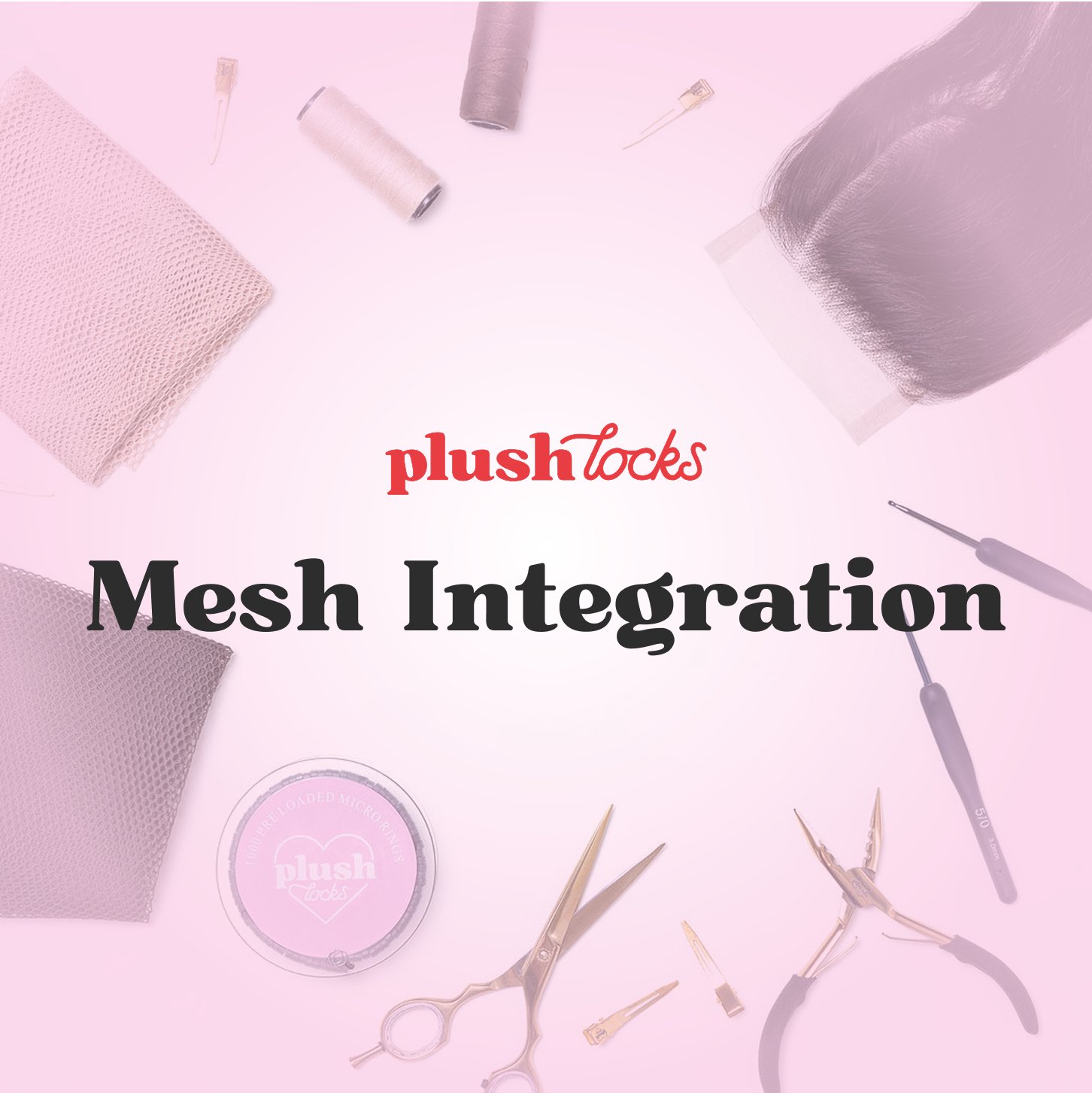 Mesh Integration