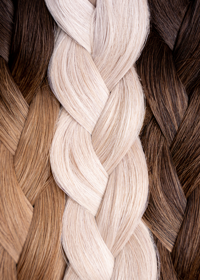 Plushlocks Professional Home